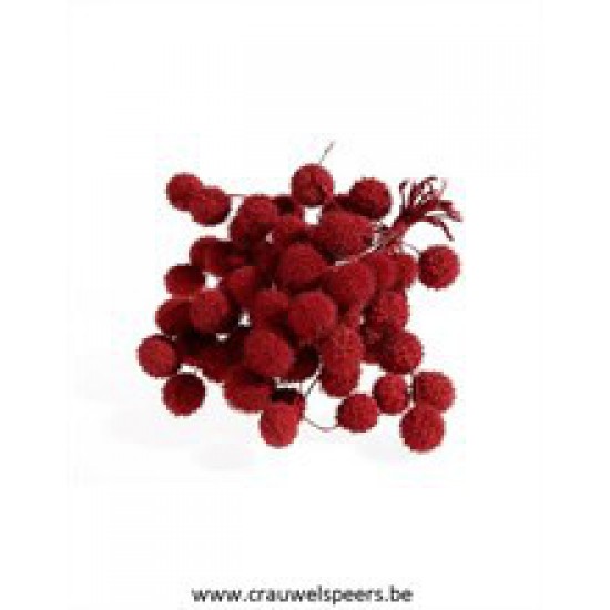 FRUIT DE PLATANE ROUGE 1/2