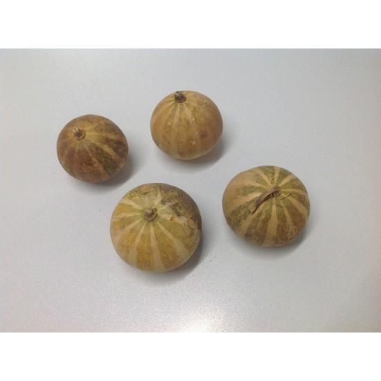 PUMPKIN MINI NATURAL 20PCS