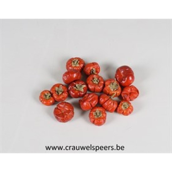 POMPOEN (SOLANUM) +/-250GR