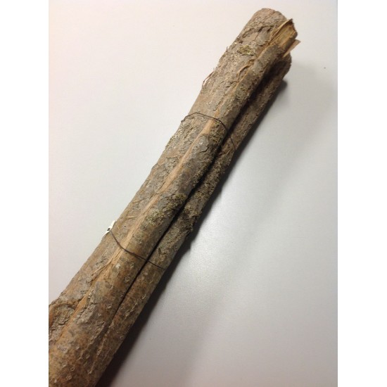 POPLAR TREES BARK NATURAL 50CM +/-1KG