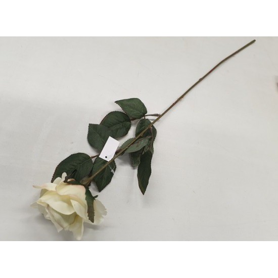 ROSE 66CM CREAM