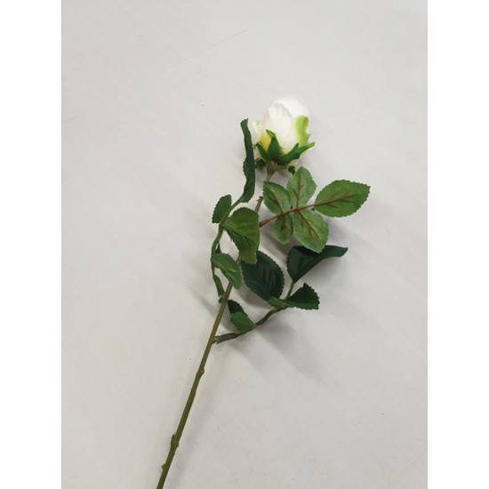 ROSE BLANC/VERT 50CM