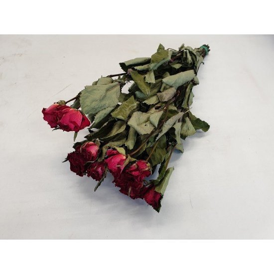 ROSES ROUGES (20PCS)