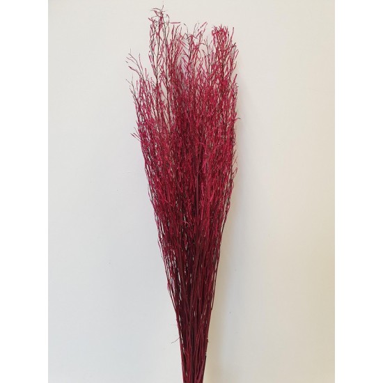 SARASH BUNCH ROUGE +/-110CM +/-100GR