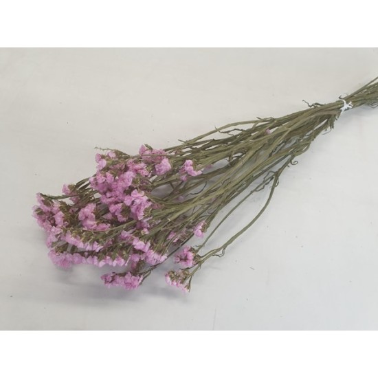 STATICE SINUATA LIGHT PINK NATURAL