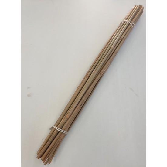 TONCHINE NATUREL 75CM 20PCS