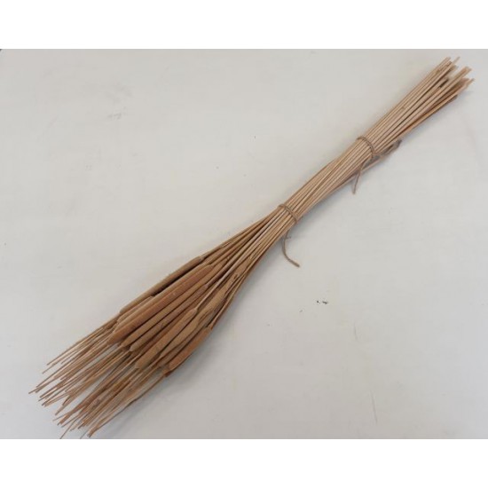 TYPHA LARGE NATURAL +/- 50PCS