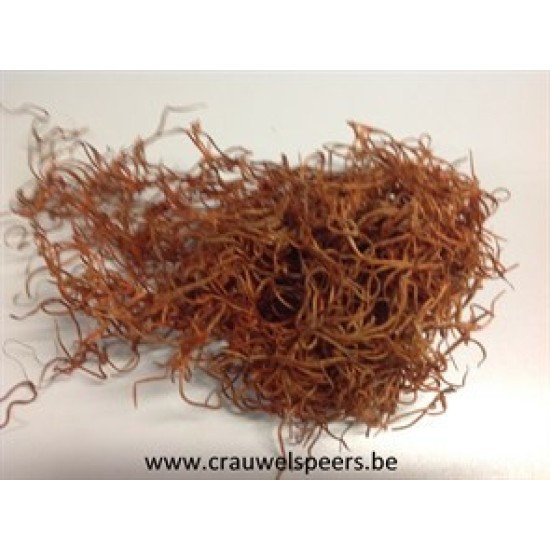 TISLANDSIA (TILLANDSIA) COGNAC +/-200GR