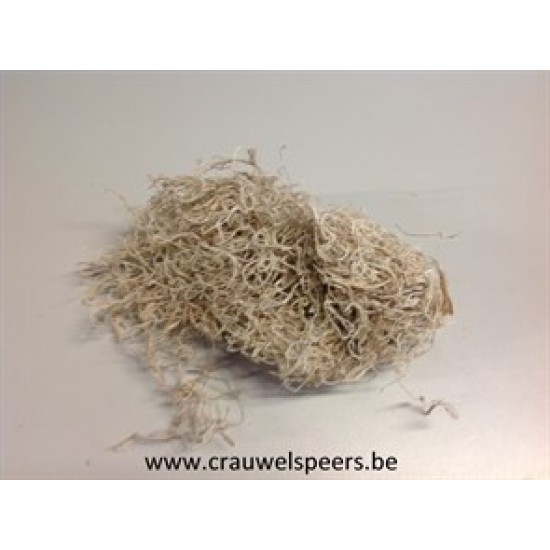 TILLANDSIA (TILLANDSIA) BLEACHED +/-200GR