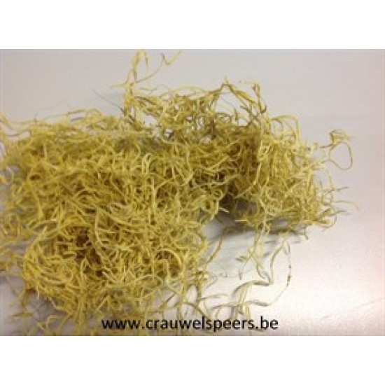 TILLANDSIA (TILLANDSIA) YELLOW +/-200GR