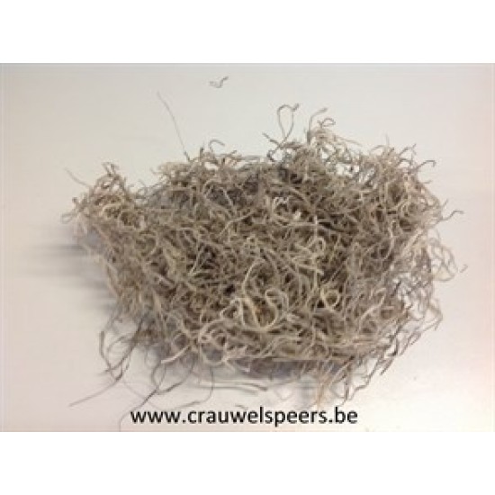 TILLANDSIA (TILLANDSIA) NATURAL +/-200GR