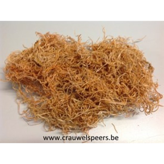 TILLANDSIA (TILLANDSIA) SAND +/-200GR