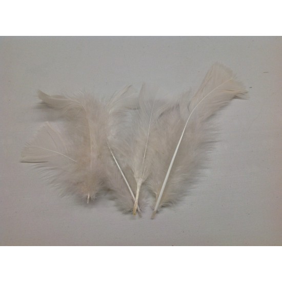 FEATHERS FLATS BEIGE +/-10GR