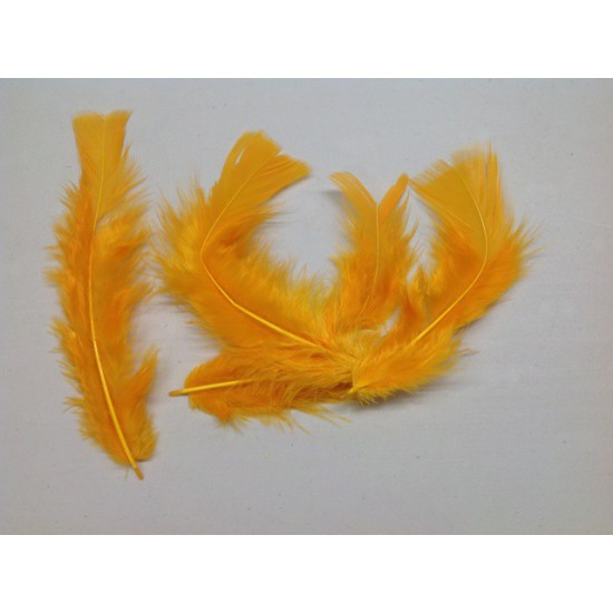 FEATHERS FLATS EGG YOKE YELLOW (ORANGE) +/-10GR