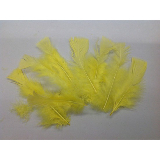 PLUMES FLATS JAUNE +/-10GR