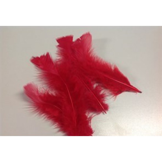 FEATHERS FLATS RED +/-10GR