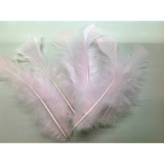 FEATHERS FLATS ROSE +/-10GR