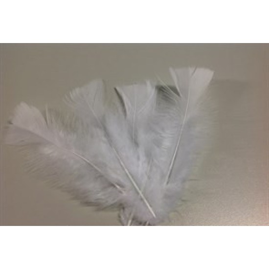 FEATHERS FLATS WHITE +/-10GR