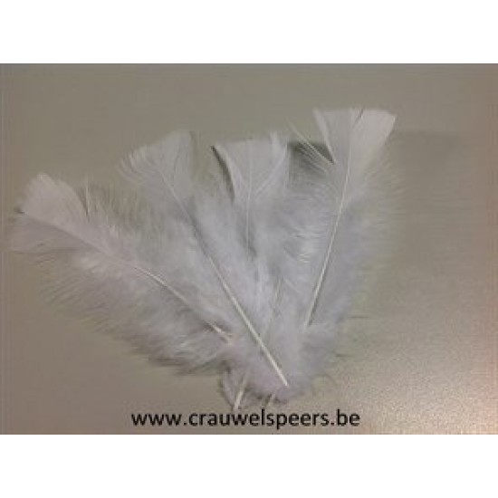 FEATHERS FLATS WHITE +/-45GR