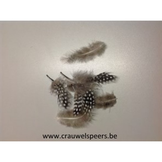 GUINEA FOWL FEATHERS NATURAL