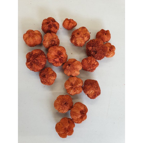 WILD APPLE MINI TERRACOTTA +/-250GR