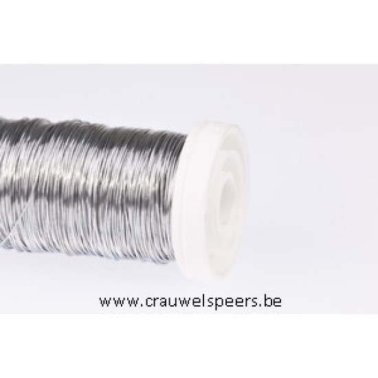 WIKKELDRAAD ZILVER OP SPOEL 0.30MM 100GR HOBBY