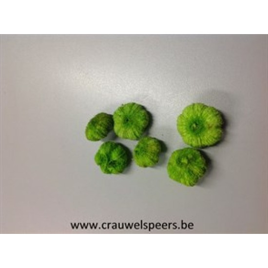 WILD APPLE MINI LIME GREEN +/-250GR