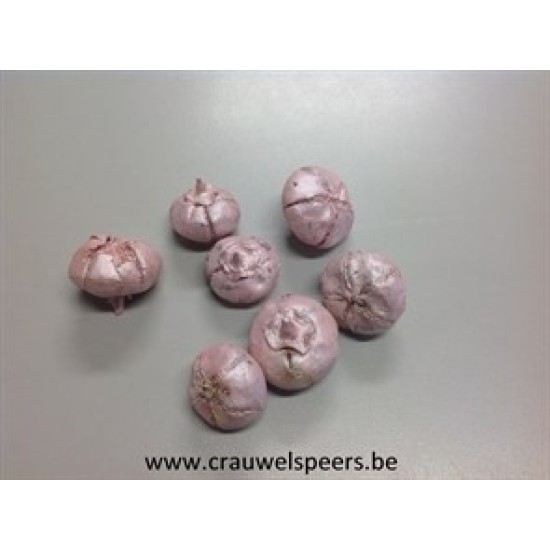 WILD APPLE MINI ROUGH PEARL PINK