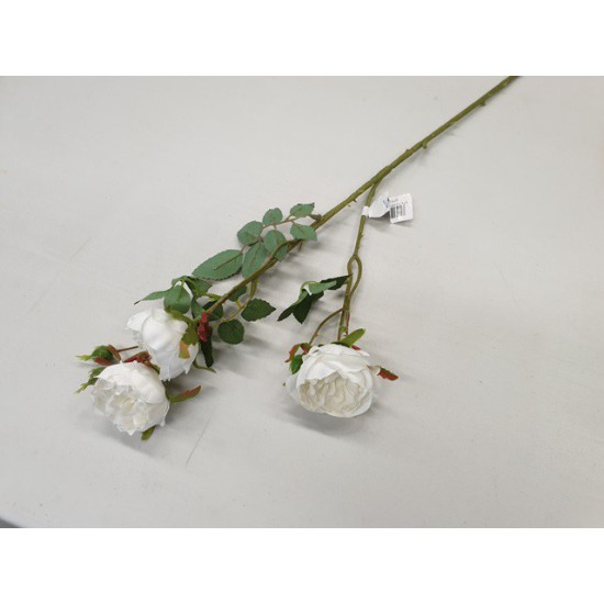 WILD ROSE 60CM WHITE