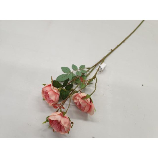 WILD ROSE 60CM SALMON