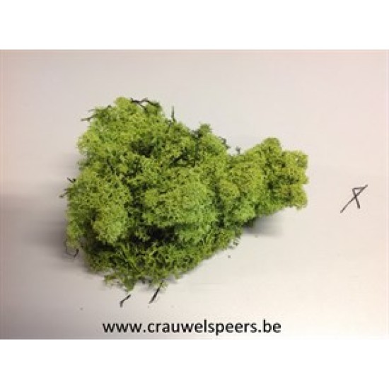 ICELANDIC MOSS APPLE GREEN BIG +/-400GR