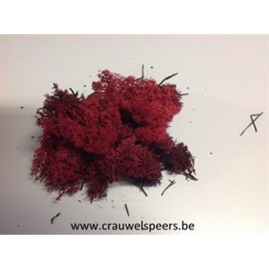 IJSLANDS MOS GECONSERVEERD BORDEAUX +/-450GR