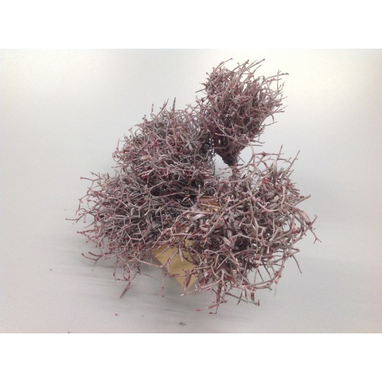 IRON BUSH ON BRANCH 10CM BORDEAUX WAX 5PCS