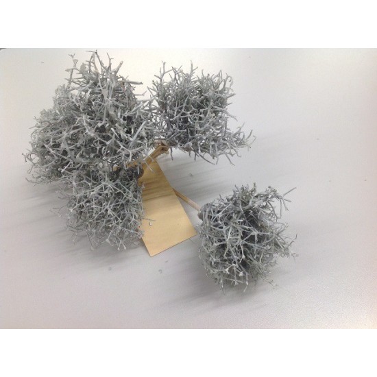 IRON BUSH SUR TIGE 10CM WHITE WAX 5PCS