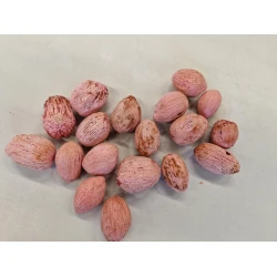 AMRA PODS ROSE +/-100GR