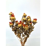 CARTHAMUS ORANGE NATURAL