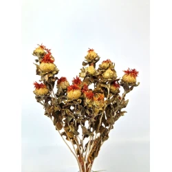 CARTHAMUS ORANGE NATUREL