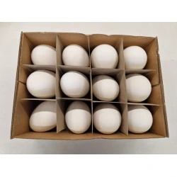OEUFS D'OIE 12PCS