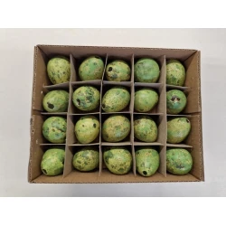 OEUFS DE CAILLE VERT 60PCS
