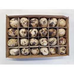 OEUFS DE CAILLE NATUREL 24PCS