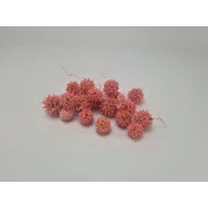 LIQUIDAMBAR (AMBERBAUM) ROSE +/-150GR