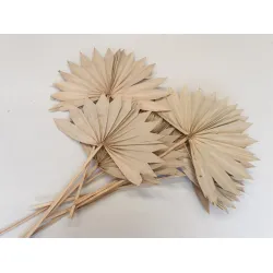 PALM SUN NATUREL 5PCS BOPP/kraft emballage hobby