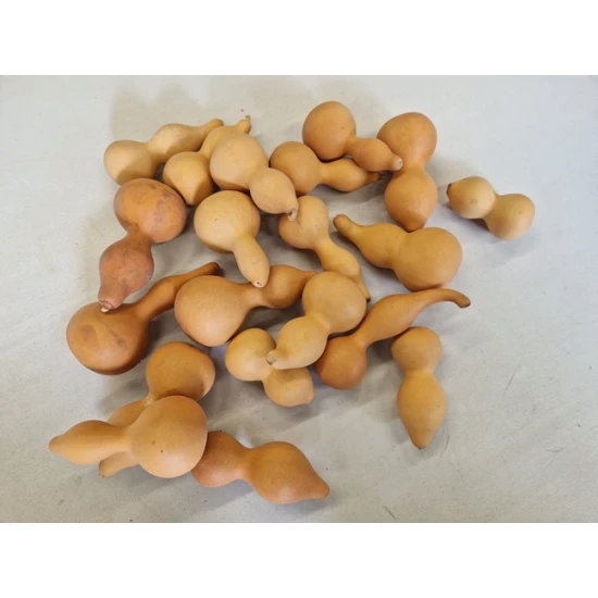 POMPOEN MINI NATUREL 20ST