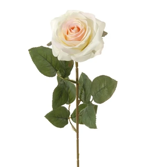 ROSE 66CM PINK