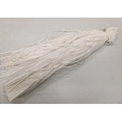 BANDE SQUELETTE BLANCHI +/-200GR