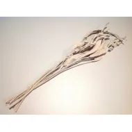 STRELITZIA BLAD LANG WHITE WASH 5ST BOPP/kraft hobbyverpakking