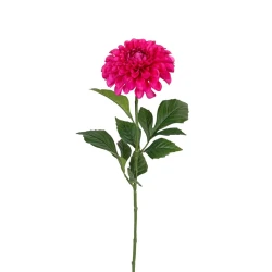 DAHLIA 60CM CHERRY
