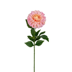 DAHLIA 60CM SALMON