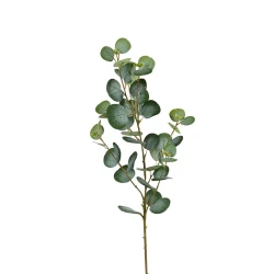 EUCALYPTUS 95CM GREEN