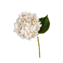 HYDRANGEA 55CM CREAM